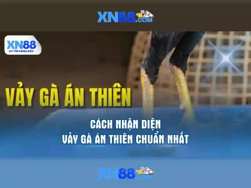 💎cách tính chi phí cải tạo nhà💎