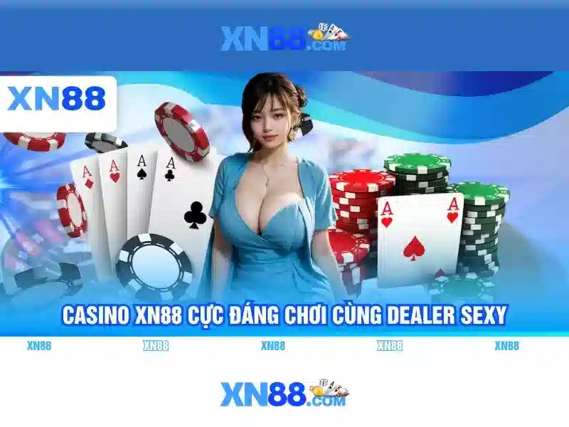  giấy phép hoạt động - XN88
