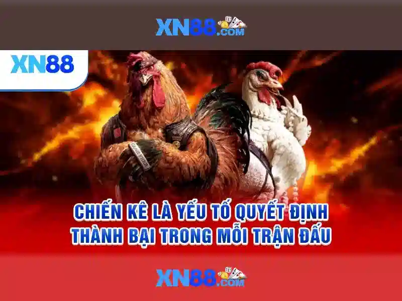 💎bắt song bac ở daklak💎