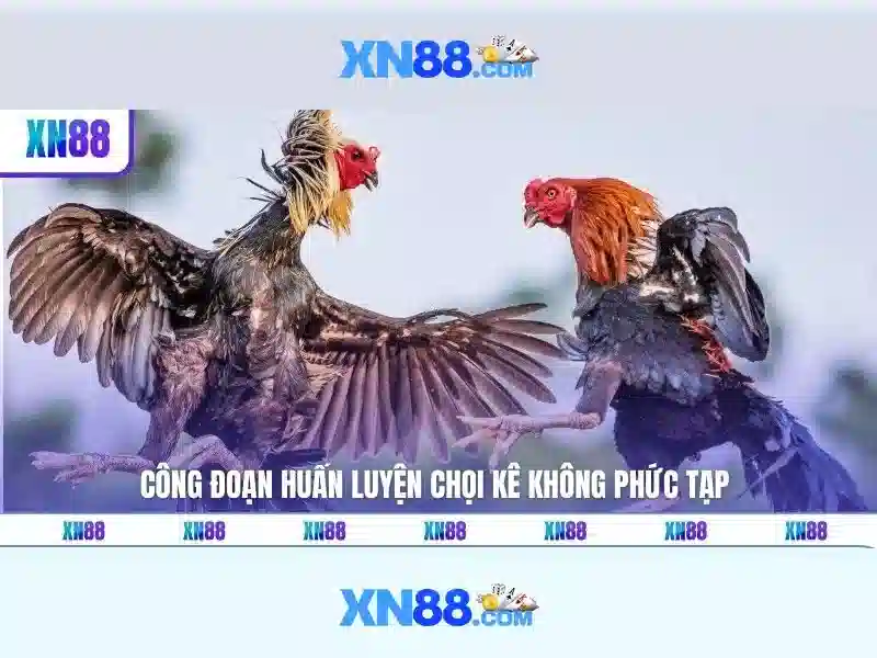 💎789bet nhà cái hàng đầu châu á💎