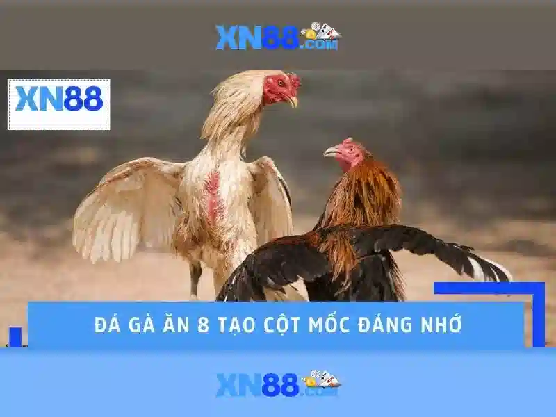 💎go88 cá cược bóng đá💎