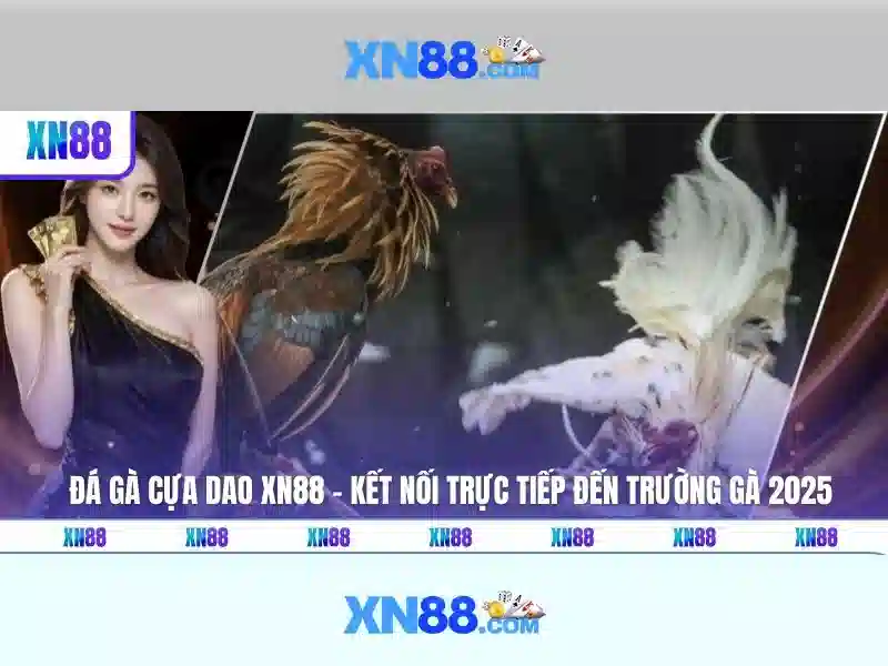 💎nhà cái mig8 chính thức hà nội💎