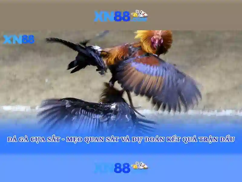 💎m666 nhà cái💎