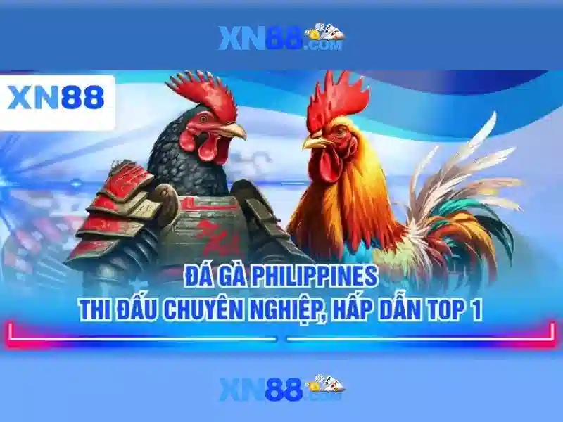 💎tỷ lệ cá cược peru💎