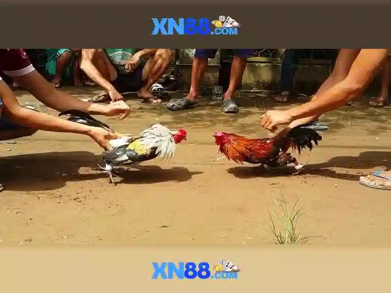 💎đường dây đánh bạc 64000 tỷ💎