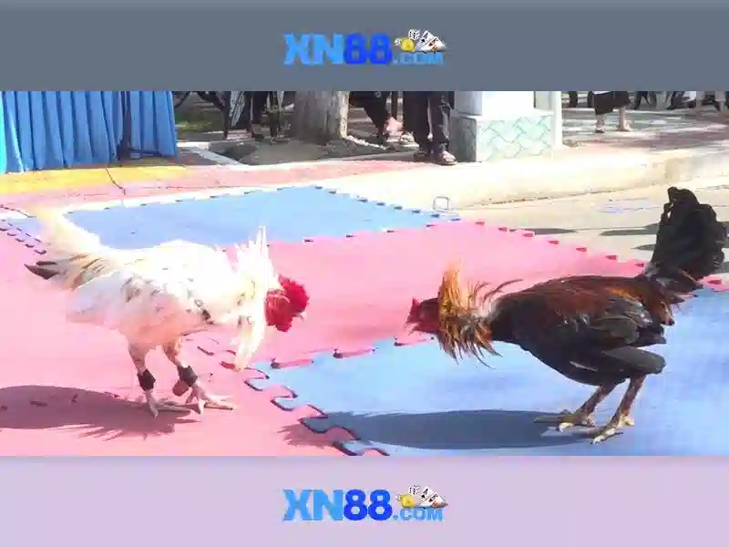 💎cai may tinh tai nha💎