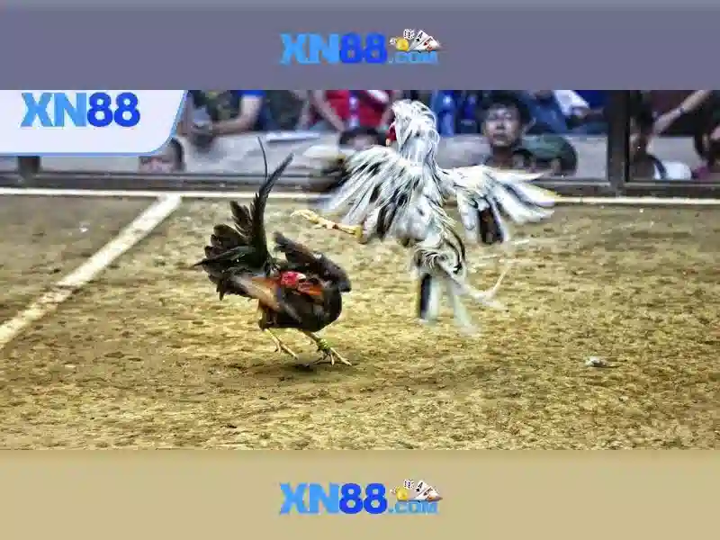 💎nhận cài win tại nhà hà nội💎