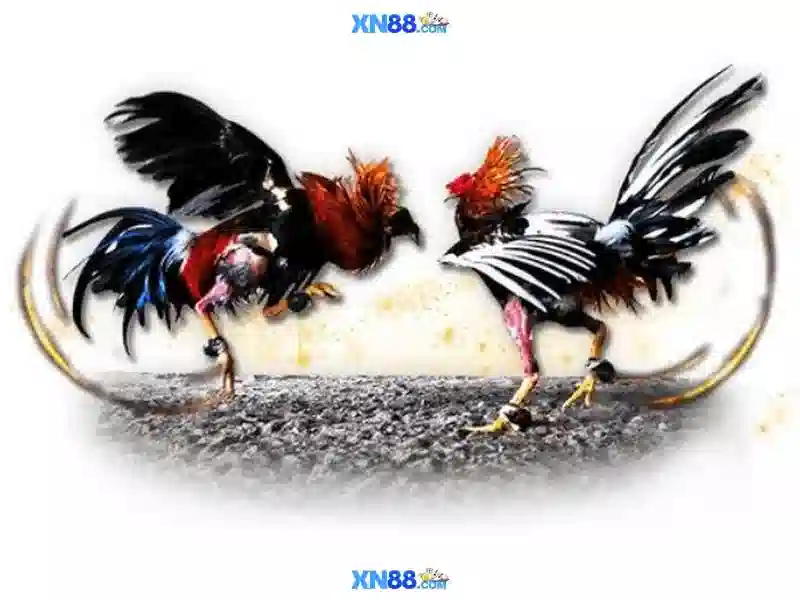 💎88 fortunes casino slot games💎