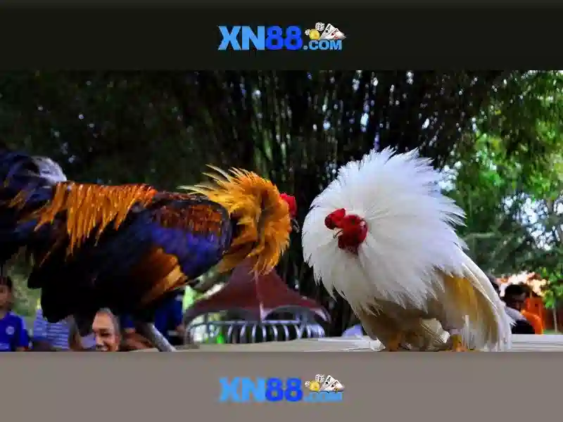 💎slot machine chairs for sale💎