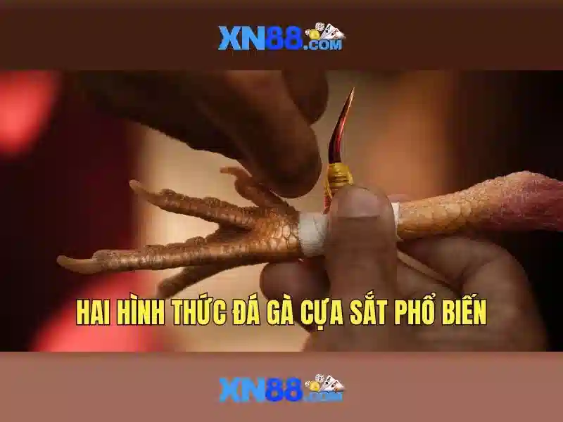 💎cách đánh giải đặc biệt miền bắc💎