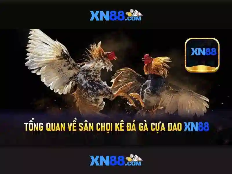 💎bắc minh hữu ngư kỳ danh vi côn💎