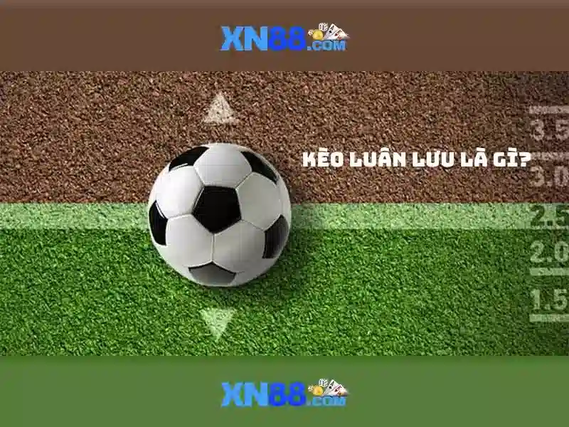 💎bếp từ đôi inverter tiết kiệm điện canzy cz-66b💎 - 66b nguyễn sĩ sách tân bình - app 66b download