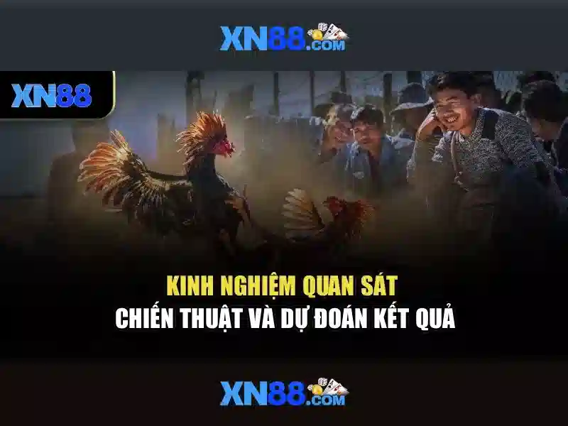 💎coi trực tiếp bóng đá kèo nhà cái💎