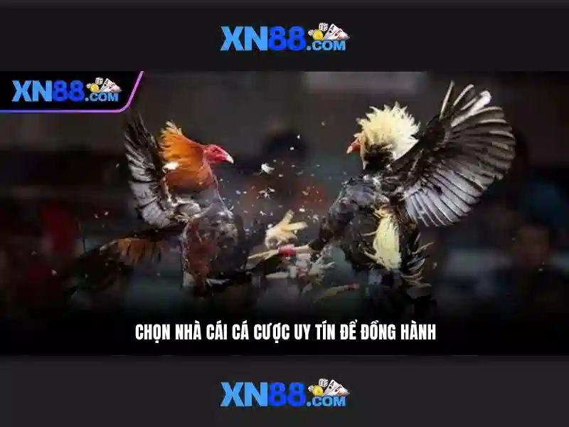 💎888slot thiên đường cá cược💎