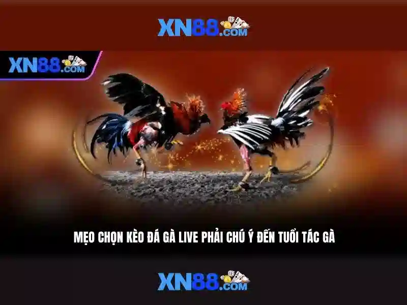 💎feyenoord 888 slot slot feyenoord💎