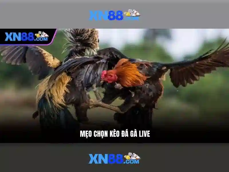 💎888 slot slot link💎