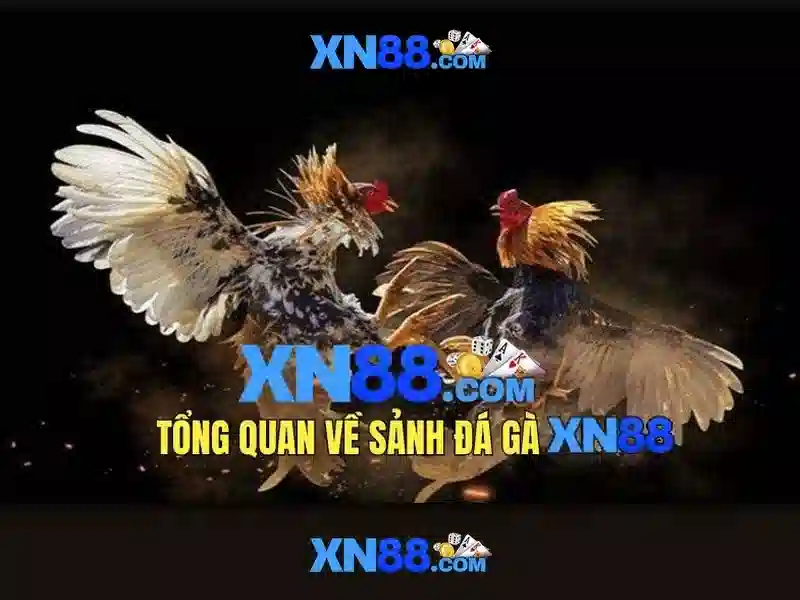 💎fachai xn88 casino💎