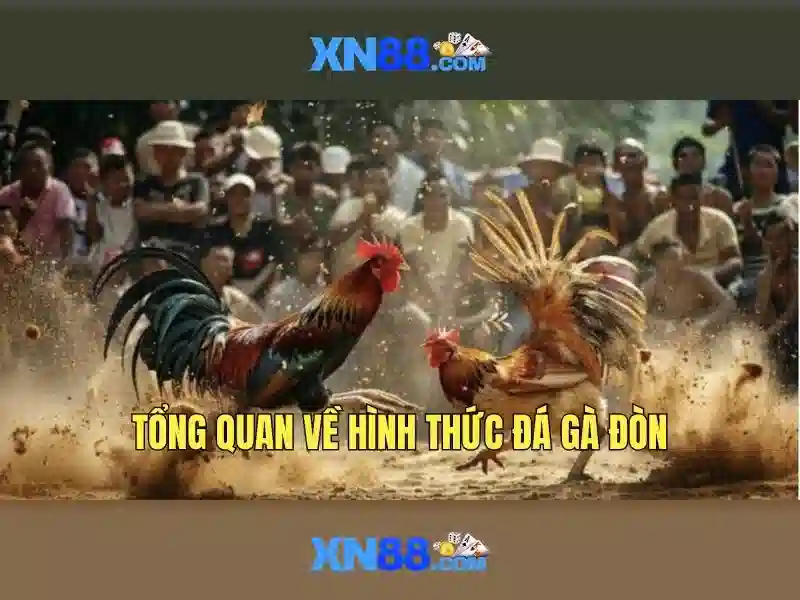  trò chơi - XN88