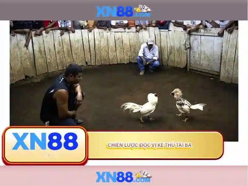 💎nhà cái tặng tiền betasia. top💎