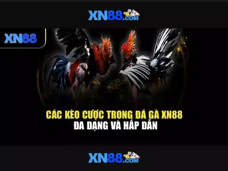 💎đề án cá cược bóng đá💎