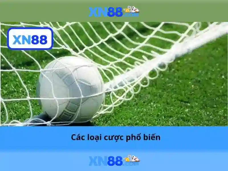 💎pinas xn88💎