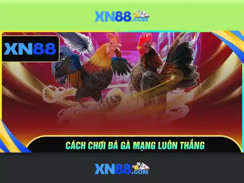 💎imba slot gacor💎