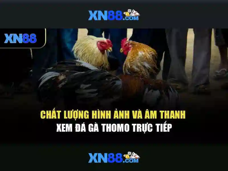  ứng dụng XN88 - XN88