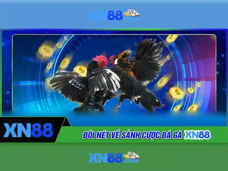 💎nhận định kèo nhà cái euro hôm nay💎