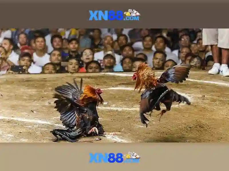💎bài đánh giá về trang chủ hb88 thành phố hồ chí minh💎