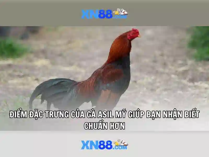 💎avenger slot 168💎