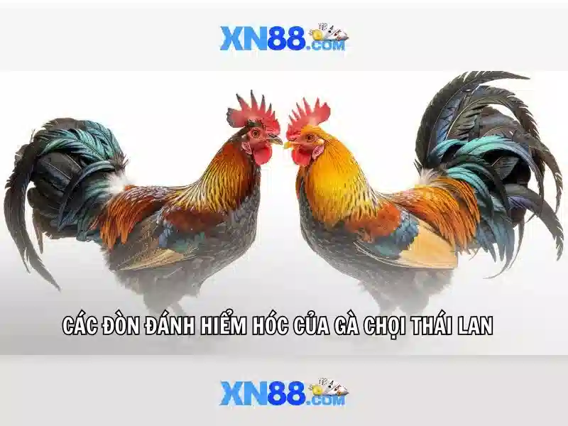 💎which slots for ram💎