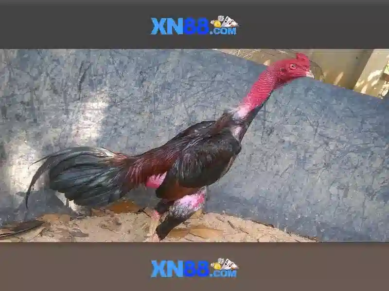 💎lucky slots tips💎