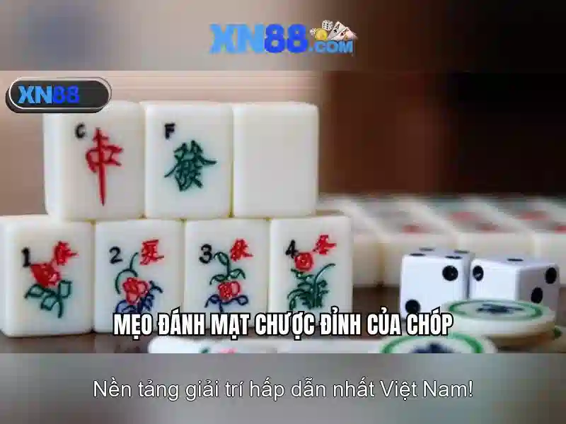 💎trang cá cược bóng đá chisholm💎