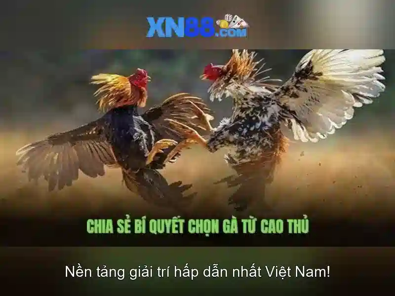 💎jb hb88 online casino💎