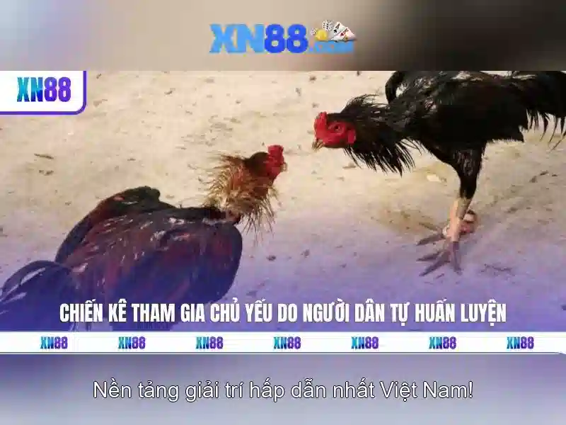💎888 slot phiên bản android💎