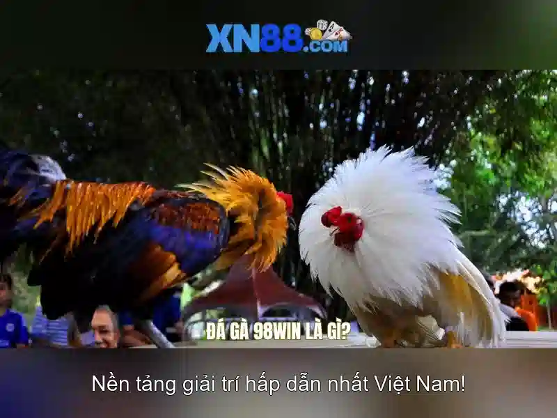 💎888 slot games apk💎