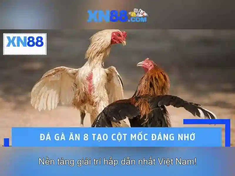 💎kèo tỷ số cá cược💎