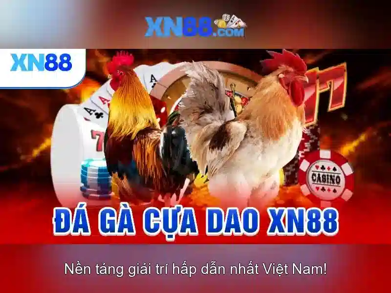 💎30 xn88 com login💎
