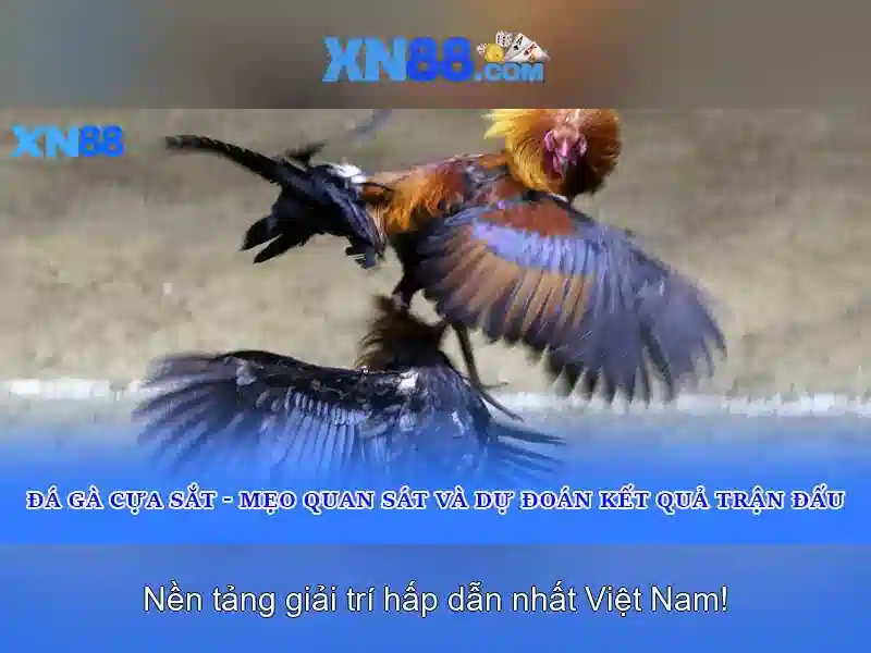 💎nhan dinh bong da keo nha cai hom nay💎