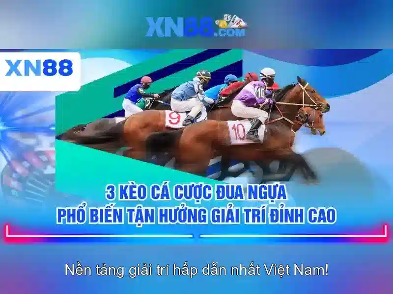 💎cody gakpo 888slot slot💎