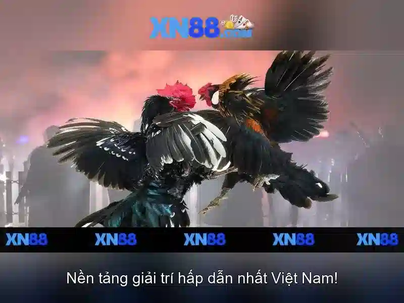 💎nha cai vn6💎