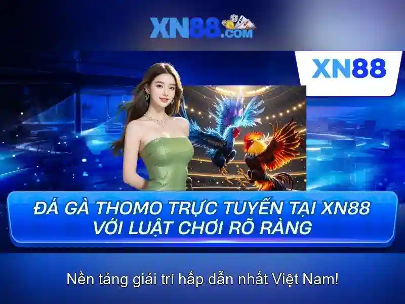 💎tỷ lệ cá cược giữa tây ban nha và pháp💎