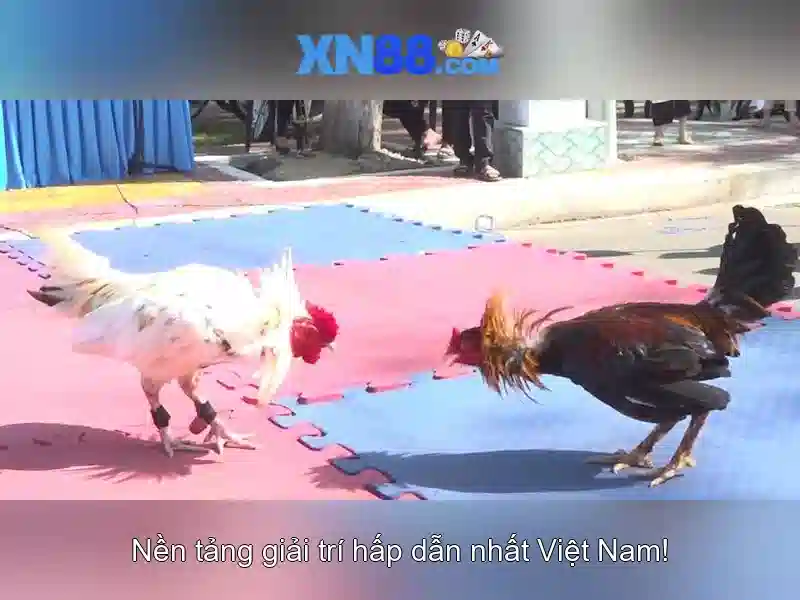 💎888 slot tải💎