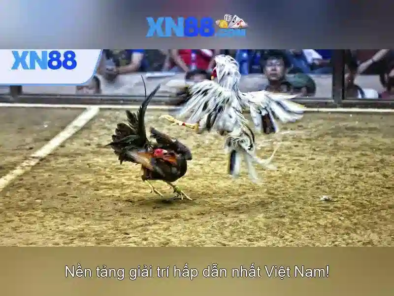 💎how to hack 888 slot slot💎