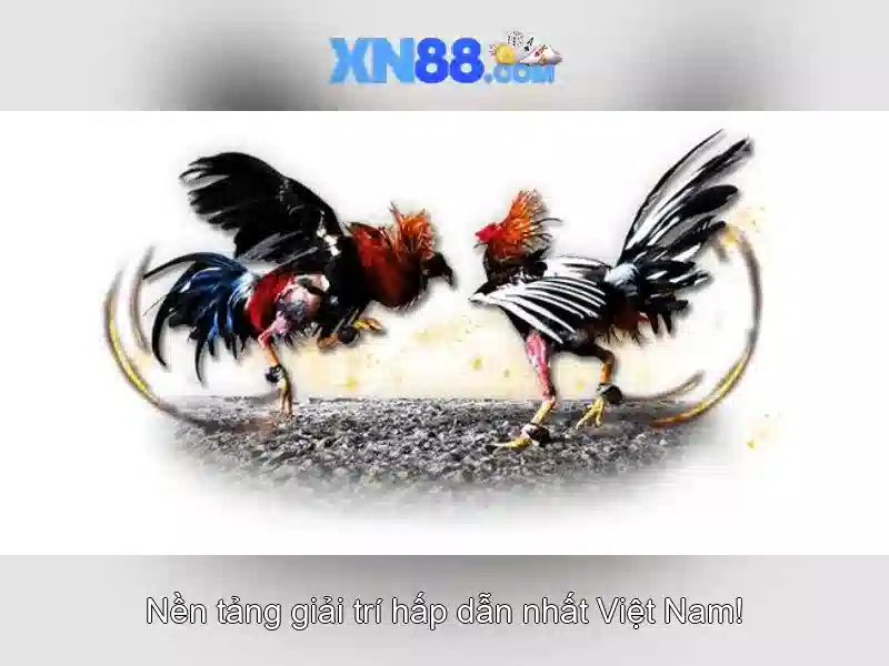 💎xn88 trực tuyến💎