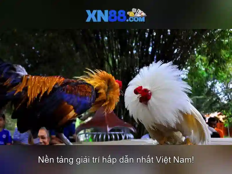 💎casino Slot365💎