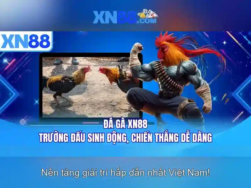 💎188v school💎 - tai 188v - 188v tải ứng dụng
