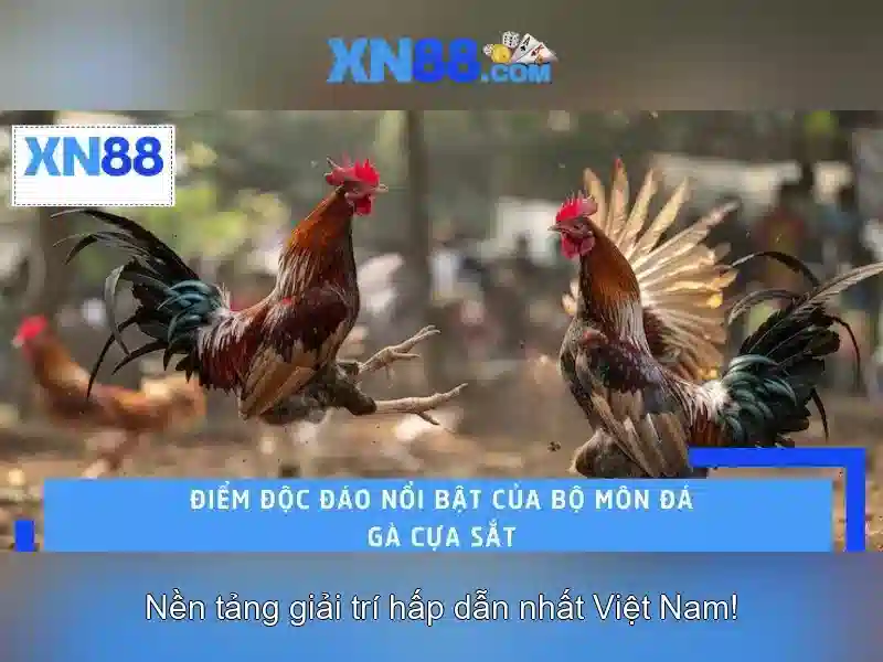 💎bắt đánh bạc online💎