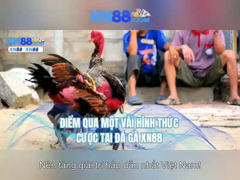 💎bảng tỷ số cá cược hôm nay💎