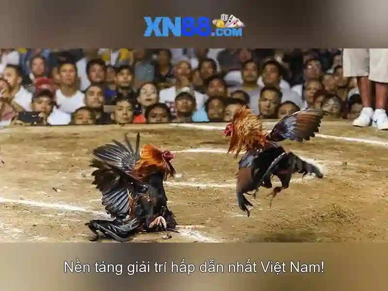 💎888 slot city fun - 888 slot slot phú thượng, hoàn kiếm💎